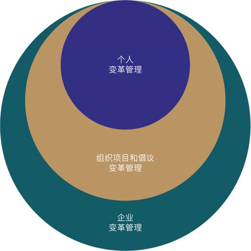 组织变革咨询